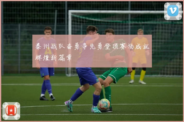 泰州战队奋勇争先勇登顶赛场成就辉煌新篇章