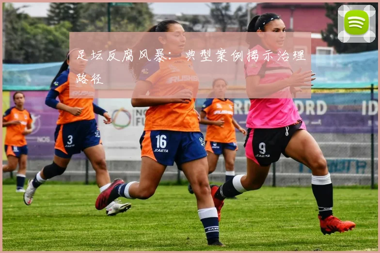 足坛反腐风暴：典型案例揭示治理路径