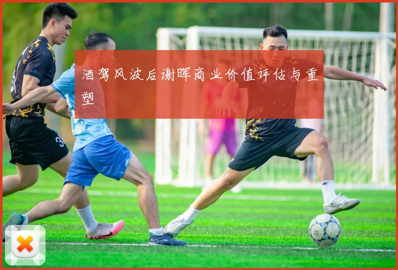 酒驾风波后谢晖商业价值评估与重塑